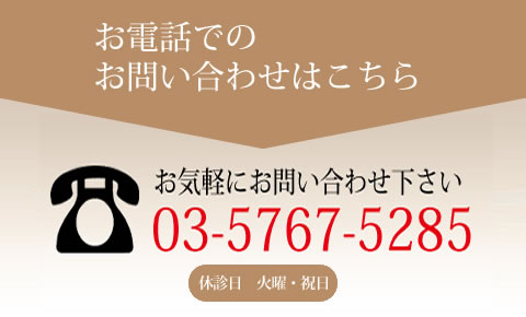 お電話でのお問い合わせはこちら　03-5767-5285