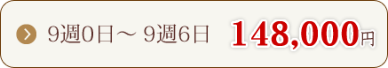 9週0日～ 9週6日　127,000円