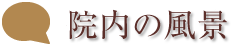 体験者の声
