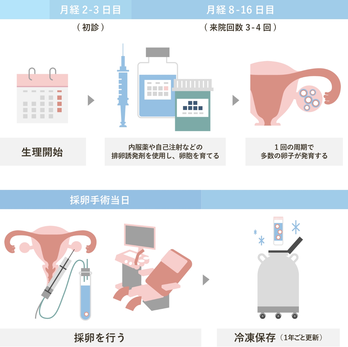 採卵までの全体のスケジュール